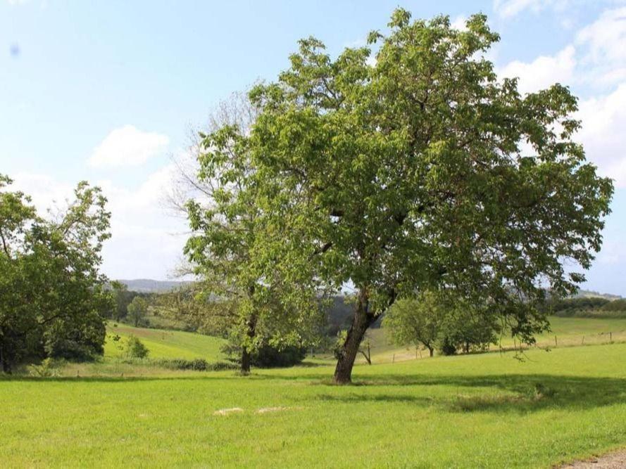 مبيت وإفطار Marcillac-Saint-Quentin Domaine De Pech Mortier المظهر الخارجي الصورة